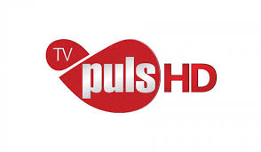 TV channel Puls online